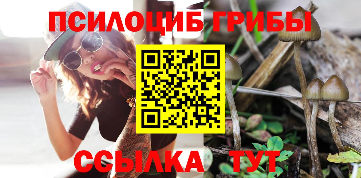Троицк  Галлюциногенные грибы прущие грибы  Вход с VPN 